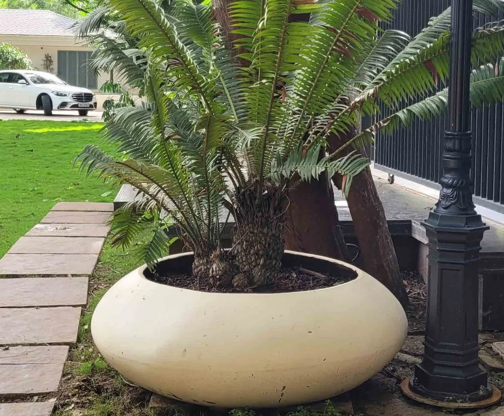 Half Pebble Planter — Medium Planters cast stone by Artemis