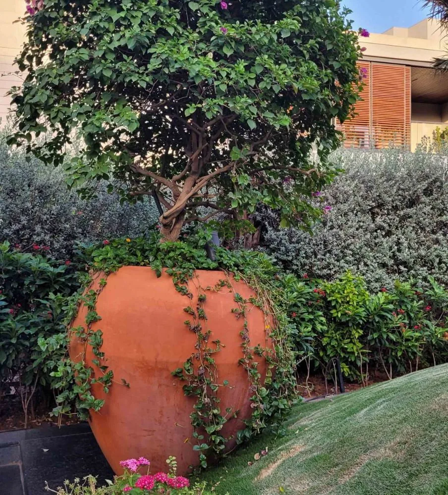 The Kothi Planter