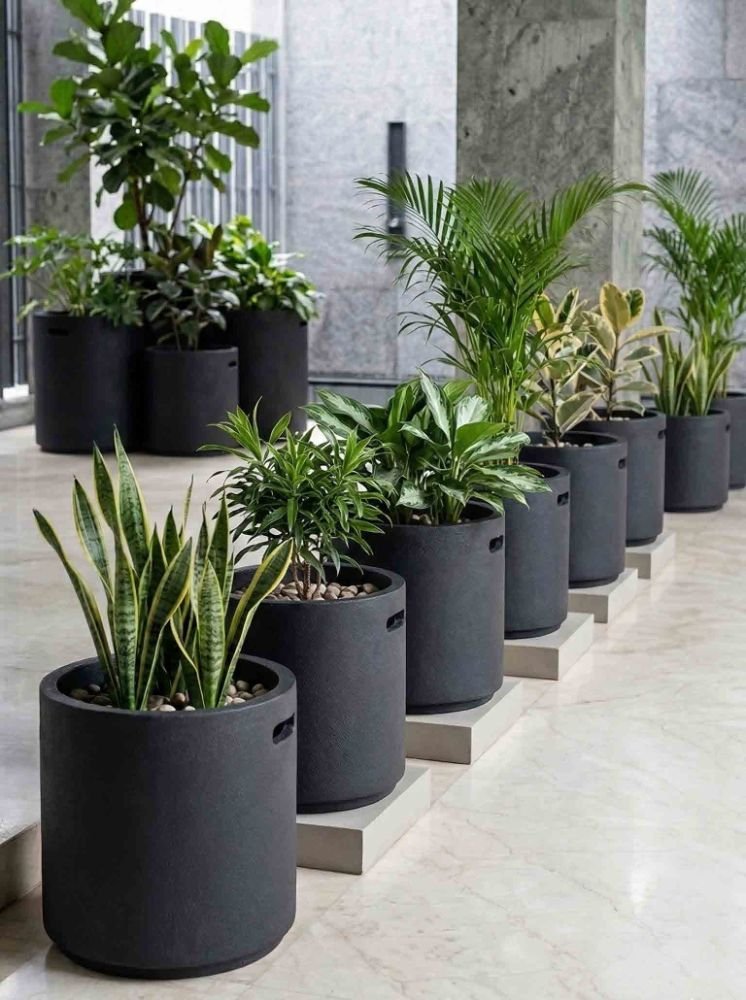 The Champa Planter — cast stone medium planters