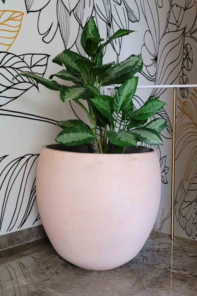 Chamfered Planter — Geometric cast stone by Artemis