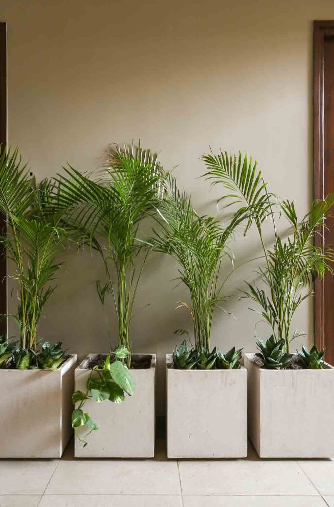 Cuboid Planter — Geometric cast stone by Artemis