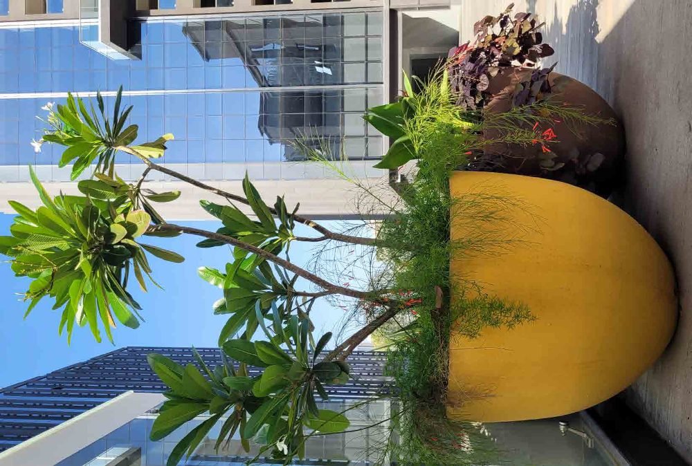 The Cup Planter
