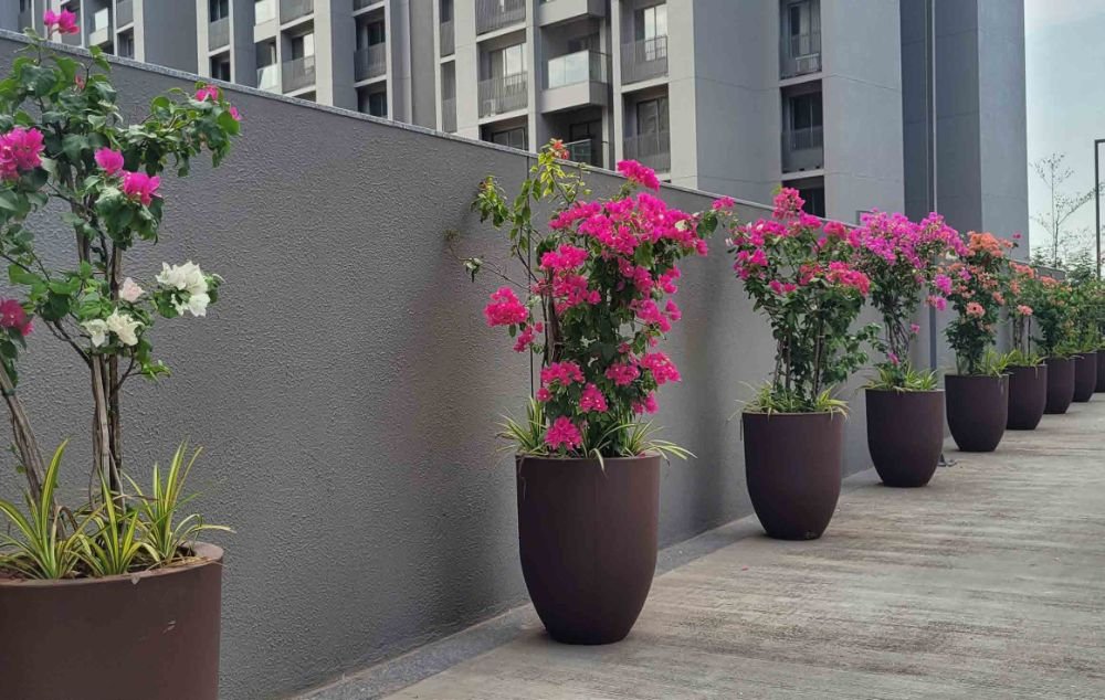 Half Egg Planter — cast stone medium planters