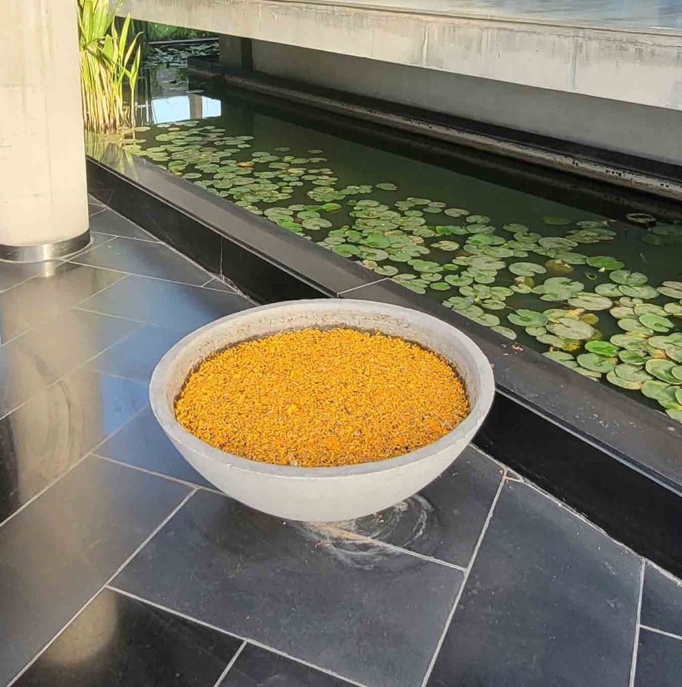 The Lily Pond Bowl — cast stone bowls