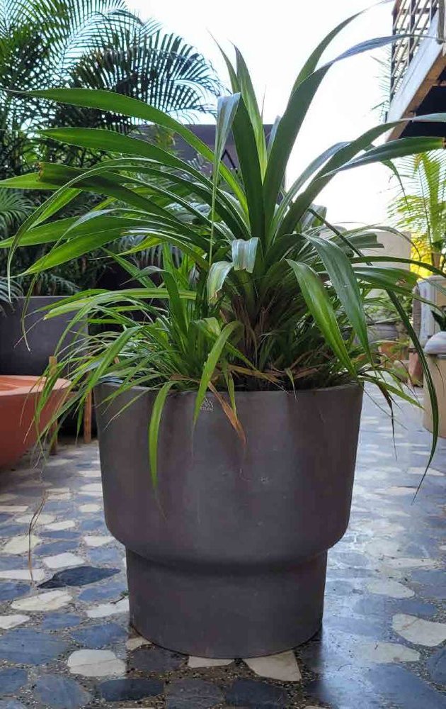Orbis Planter — Geometric cast stone by Artemis