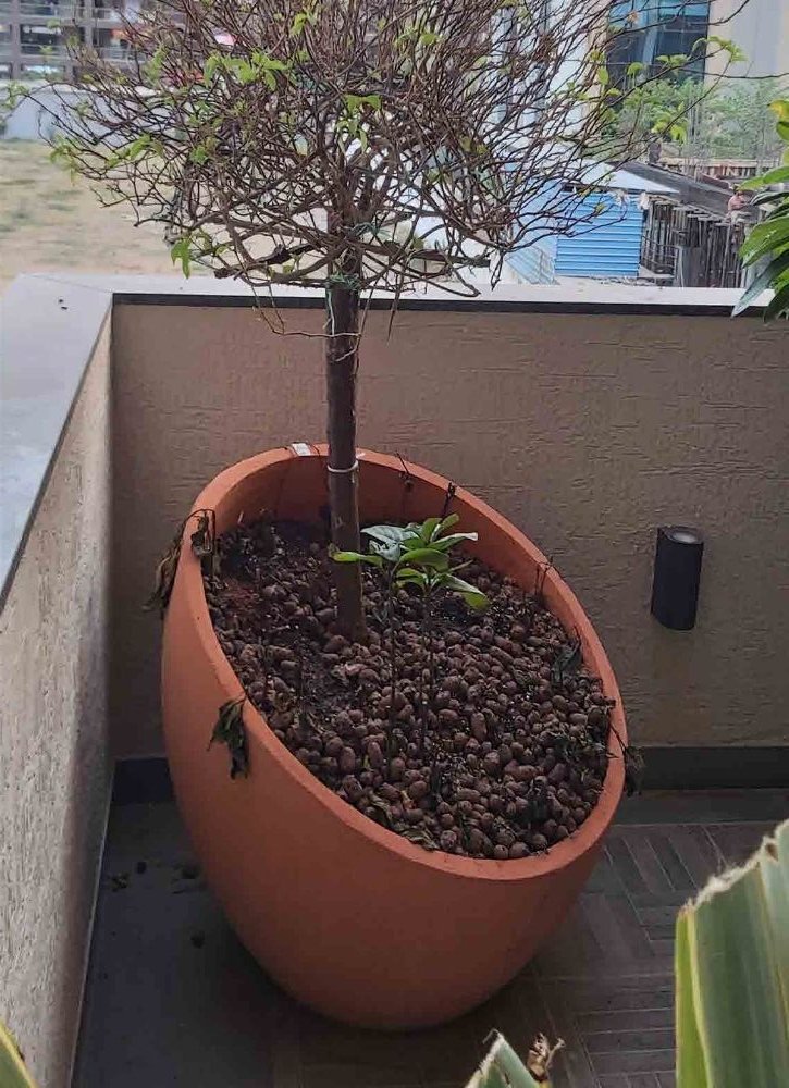 Ripple Planter — Textured cast stone by Artemis