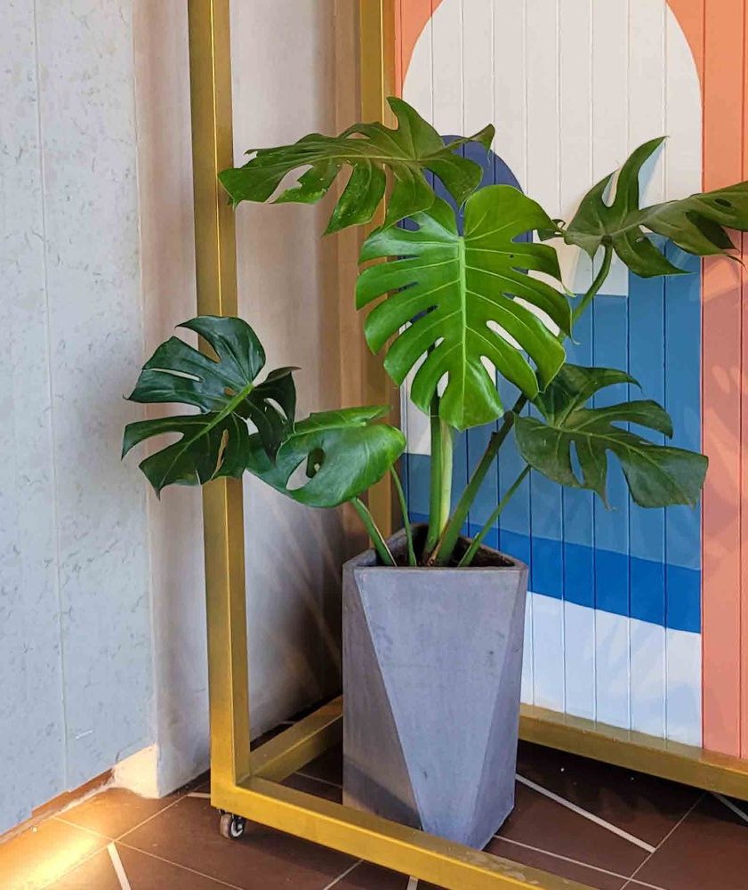 Tessellated Pot — Textured cast stone by Artemis