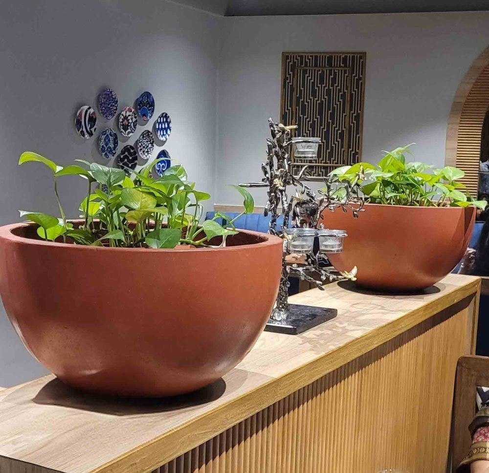 Varanasi Planter